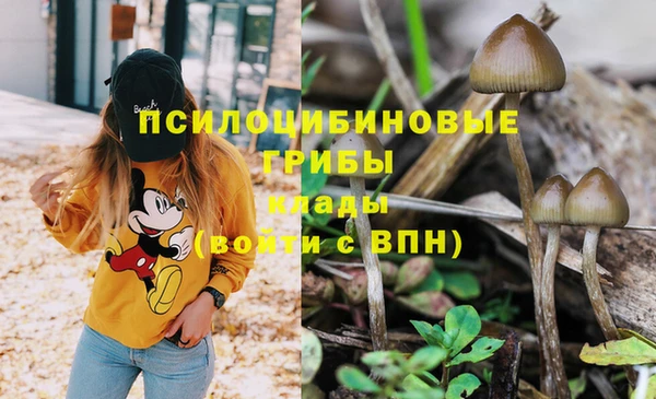 ГАЛЛЮЦИНОГЕННЫЕ ГРИБЫ Абдулино