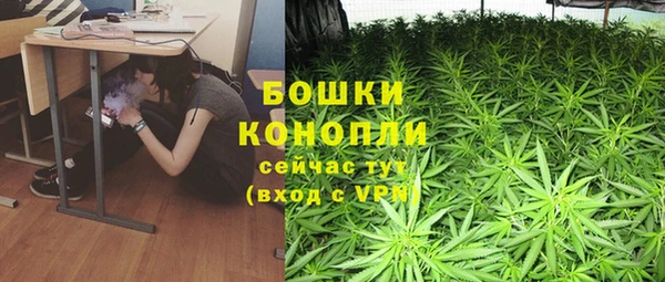 ГАЛЛЮЦИНОГЕННЫЕ ГРИБЫ Абдулино