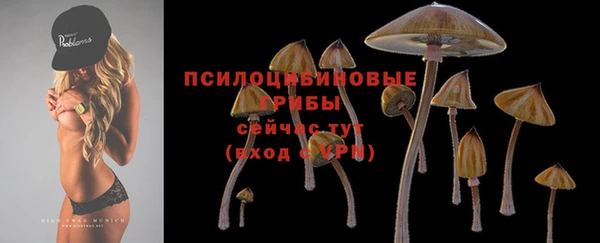a pvp Абинск