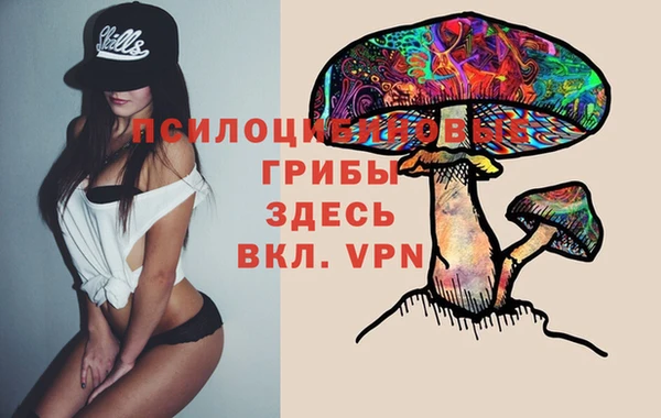ECSTASY Няндома