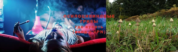 амф Нязепетровск