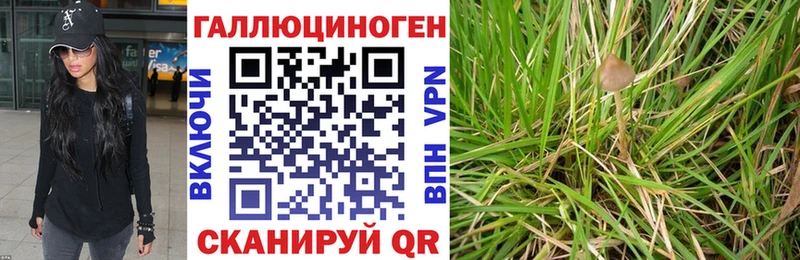 hydra как войти  Лакинск  Псилоцибиновые грибы Cubensis 
